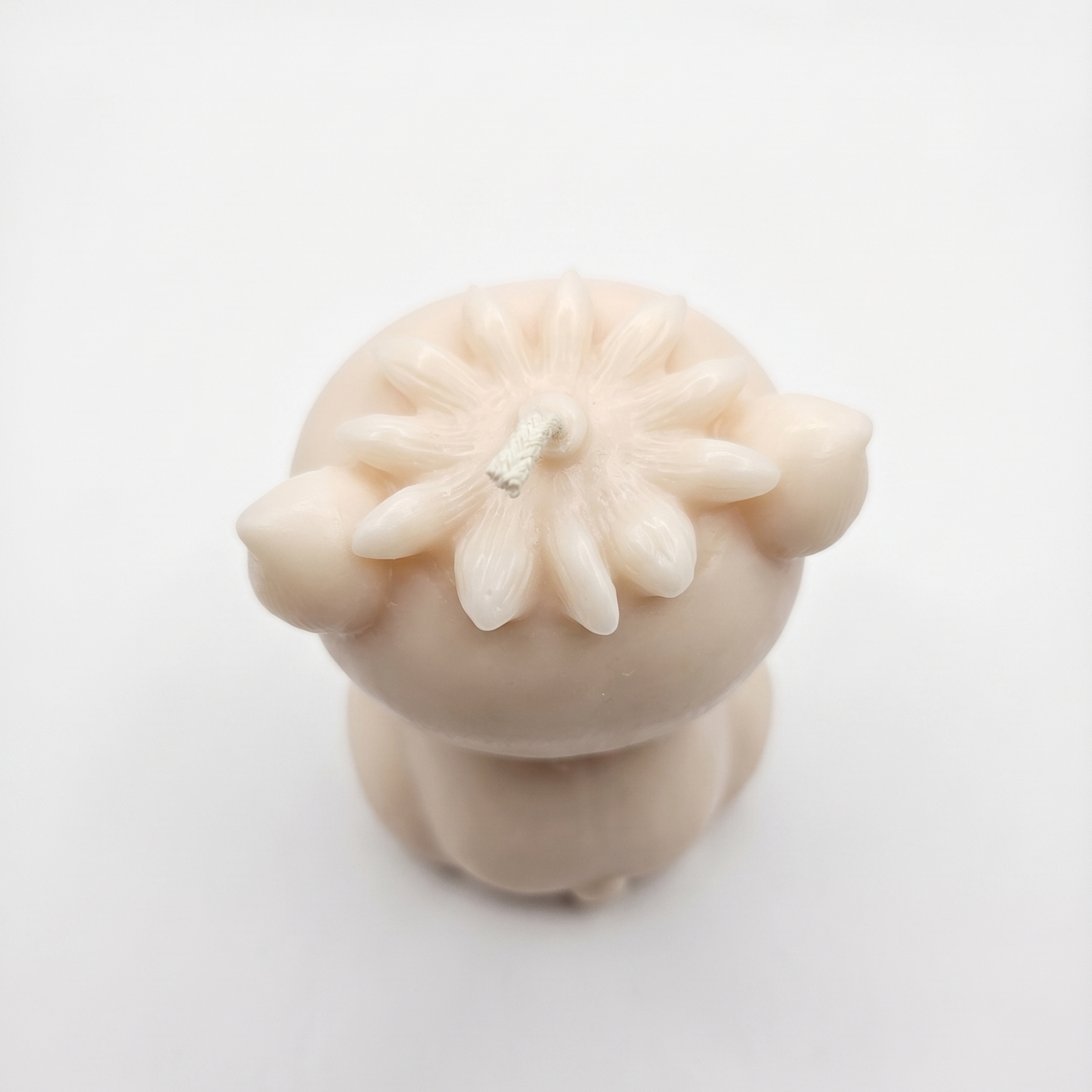 Candela Maialino - Rosa / Cocco