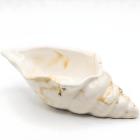 Bianco / Oro