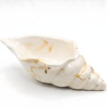 Contenitore Aura - Bianco / Oro