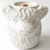 Candela Highland Cow - Bianca / Vaniglia